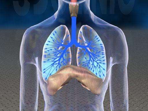src=http___iiyi2.120askimages.com_forum_2005_05_04_main_p_01_1_UieueuG1E1aa&refer=http___iiyi2.120askimages.jpg